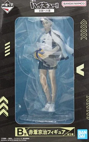 B賞 赤葦京治 全国への道のパッケージ