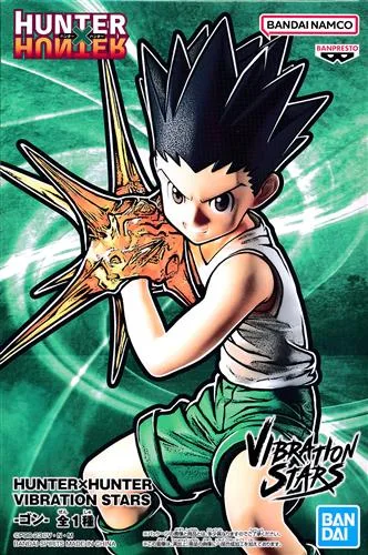 ゴン VIBRATION STARSのパッケージ