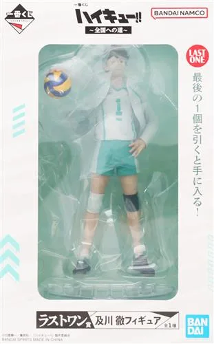 ラストワン賞 及川 徹 全国への道のパッケージ