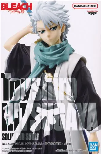 日番谷冬獅郎 SOLID AND SOULSのパッケージ