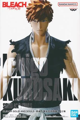 黒崎一護(&石田雨竜) SOLID AND SOULSのパッケージ