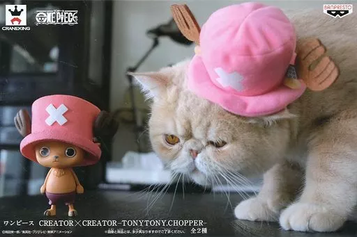 チョッパー(ピンク帽子) CREATOR×CREATORのパッケージ