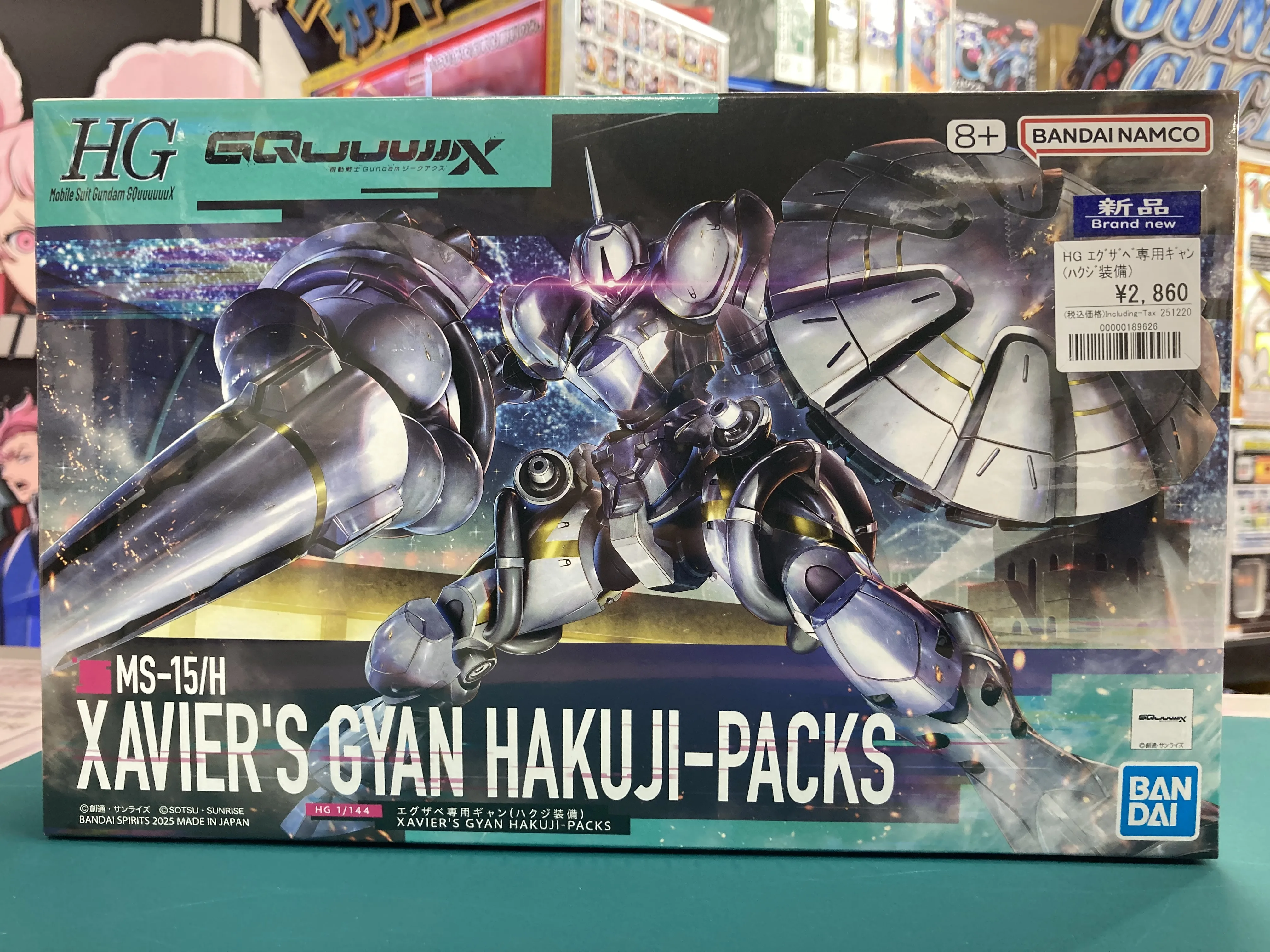 HG 1/144 エグザベ専用ギャン(ハクジ装備)