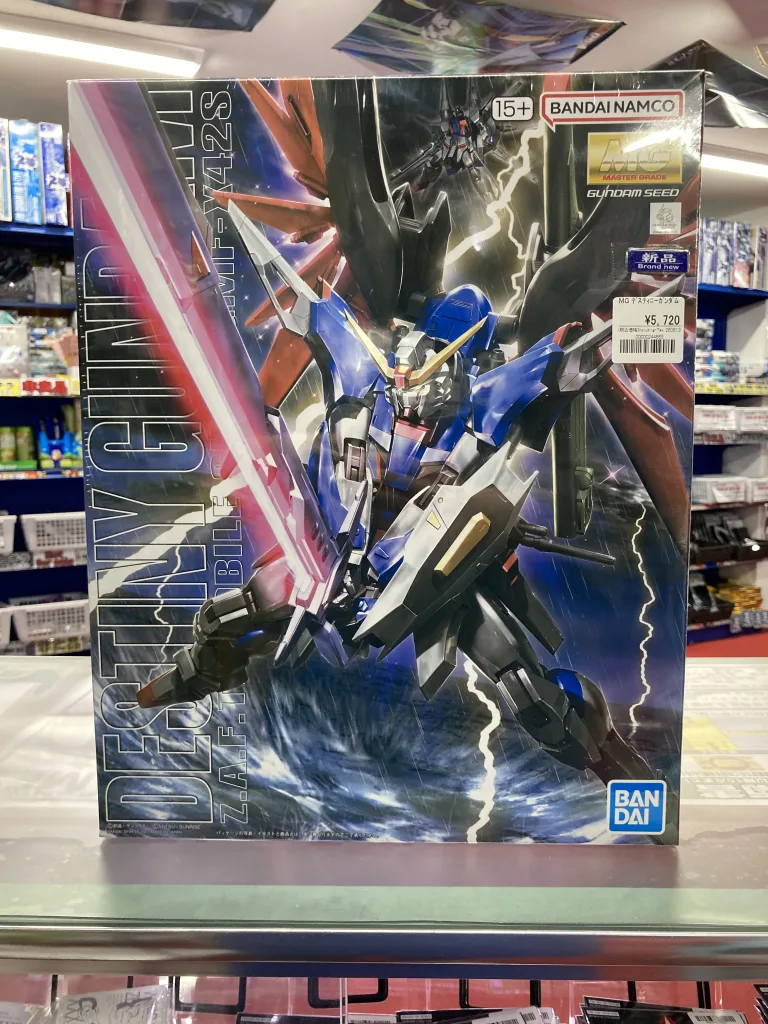 MG 1/100 デスティニーガンダム