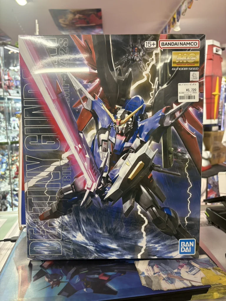 MG 1/100 デスティニーガンダム
