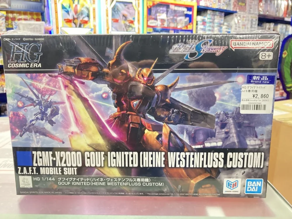 HG 1/144 グフイグナイテッド(ハイネ・ヴェステンフルス専用機)