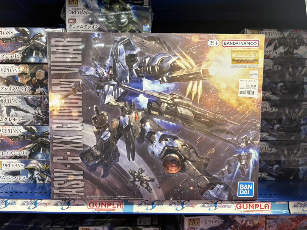 MG 1/100 ガンダムヴィダール
