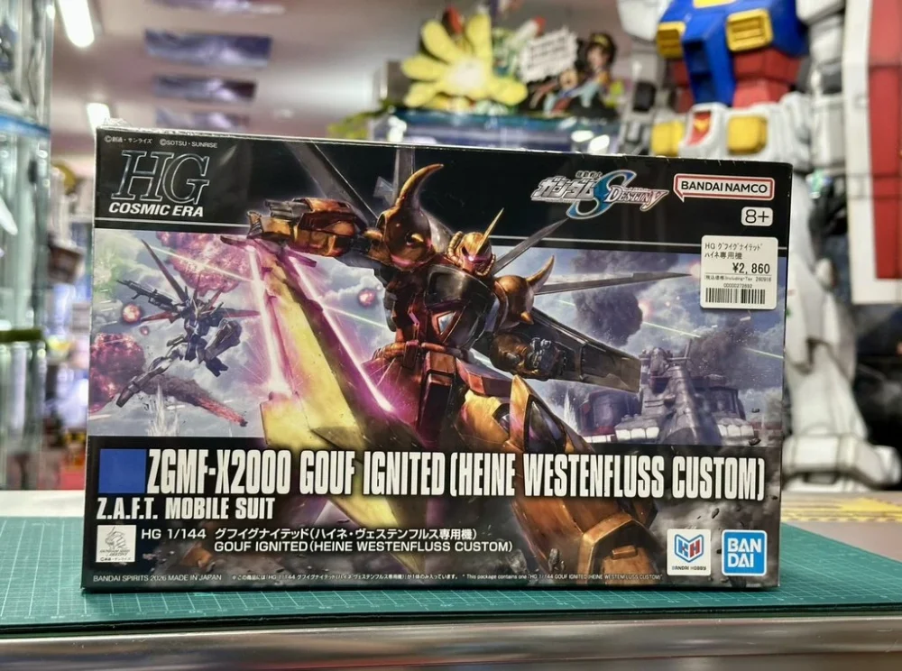 HG 1/144 グフイグナイテッド(ハイネ・ヴェステンフルス専用機)